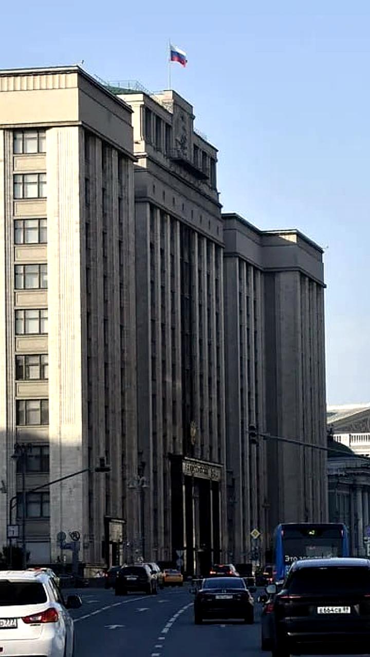 Госдума отменяет запрет на фирмы-«матрёшки» для улучшения бизнеса