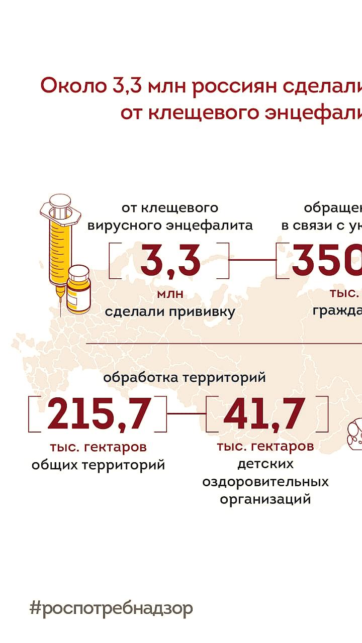 В России более 3,3 млн прививок от клещевого энцефалита и активные меры по профилактике укусов