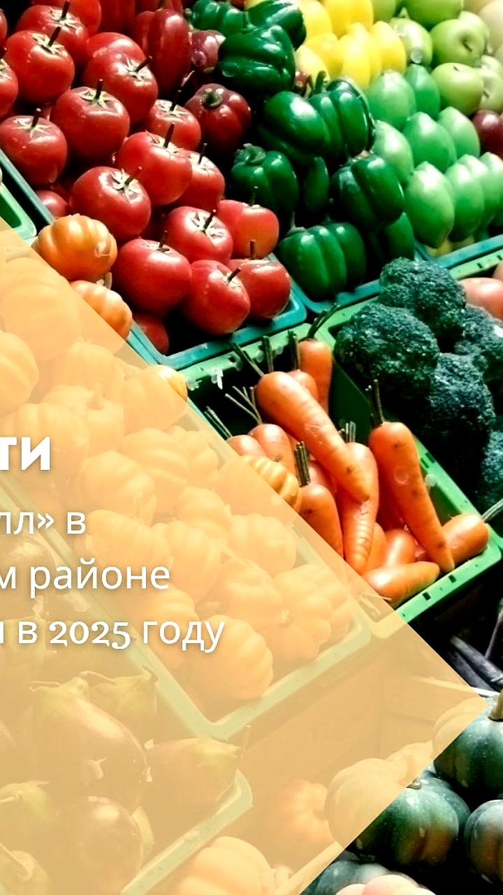 Алтайский край планирует завершение 21 инвестиционного проекта в молочном скотоводстве до 2030 года