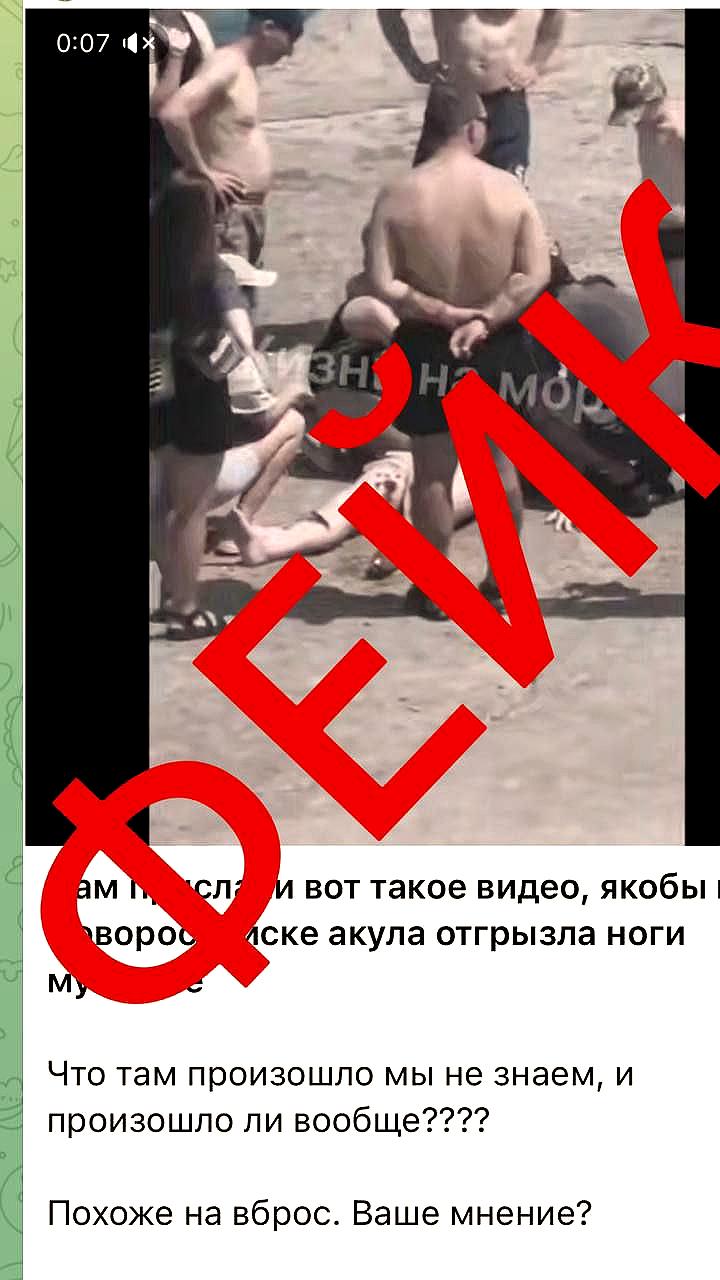 В Новороссийске опровергли слухи о нападении акулы на мужчину