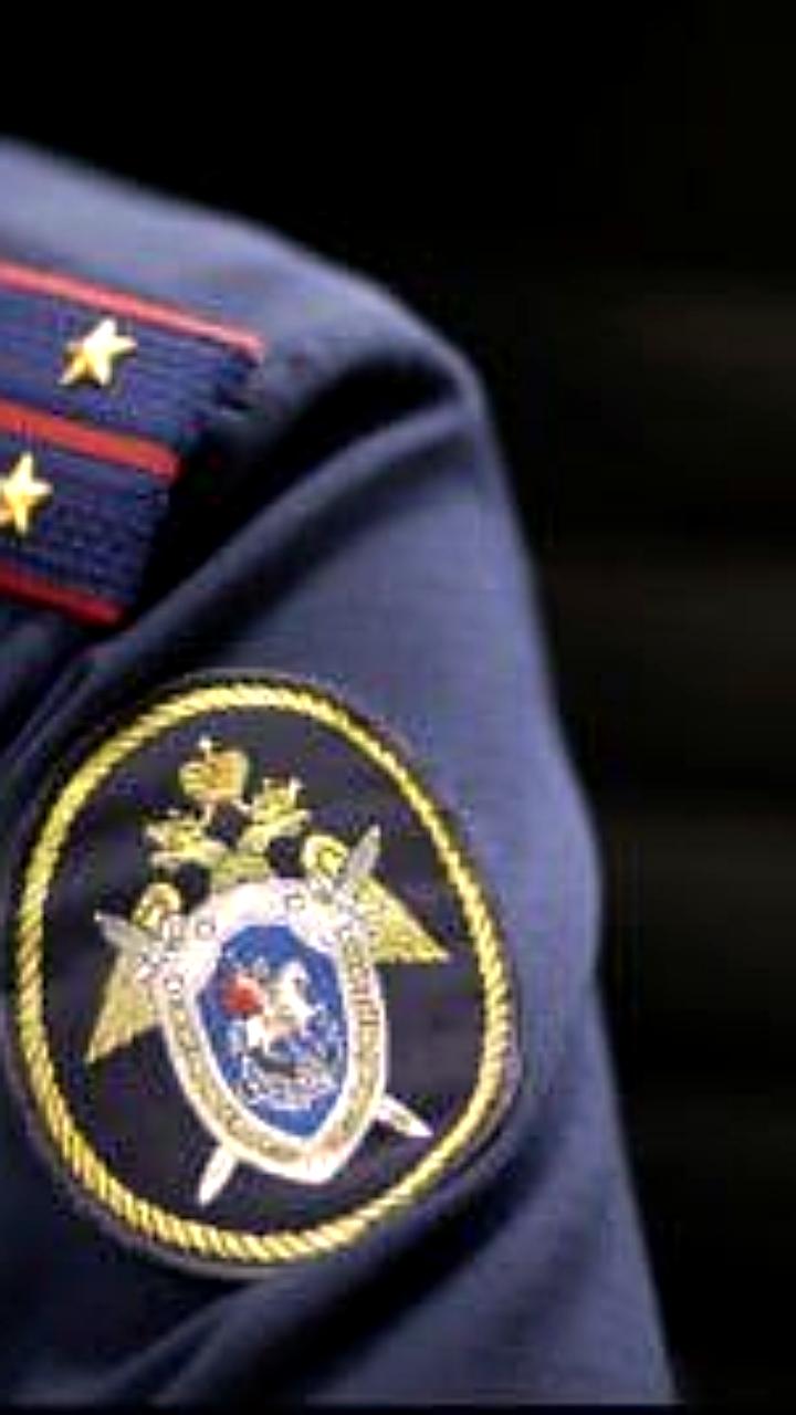 Несовершеннолетняя жительница Бердянска признана вменяемой после убийства 7-летней девочки