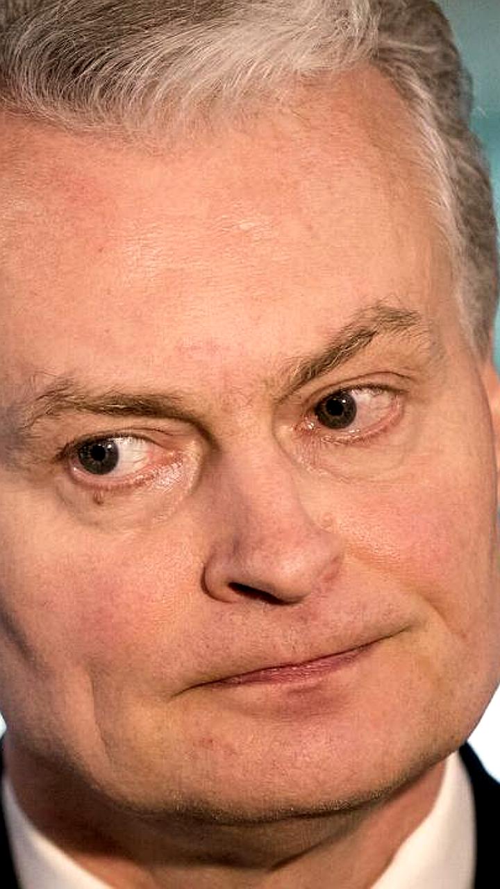Президент Литвы Науседа о перспективах окончания войны в Украине