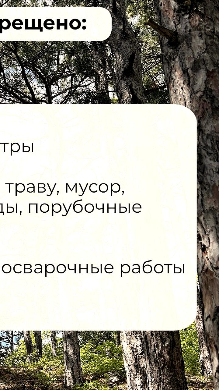 Запрет на посещение лесов в Крыму продлен из-за угрозы ЧС