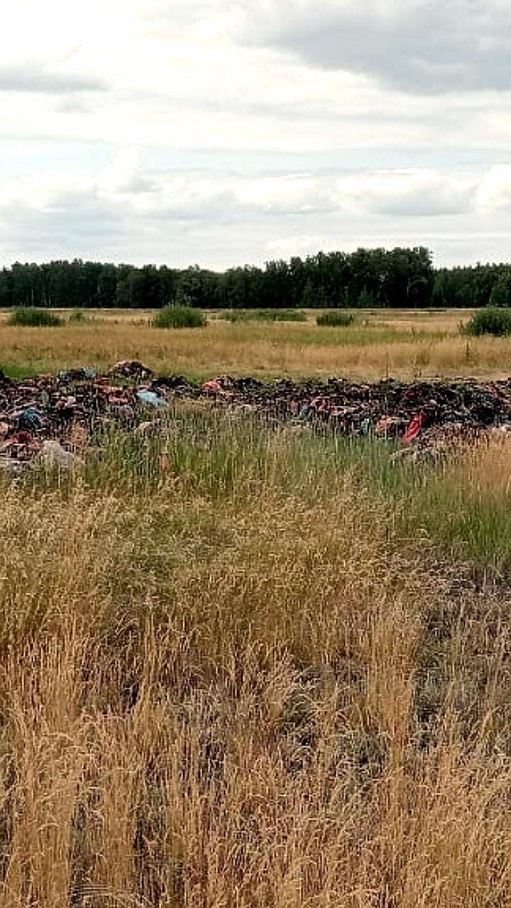 В Омской и Тамбовской областях выявлены несанкционированные свалки овощей