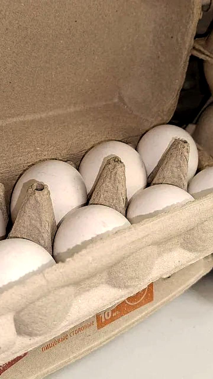 Цены на продукты в Мурманске: капуста подешевела, яблоки и морковь подорожали