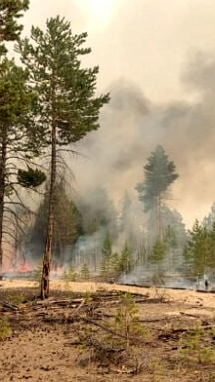 Высокая пожарная опасность в Кобяйском районе и южных районах Красноярского края
