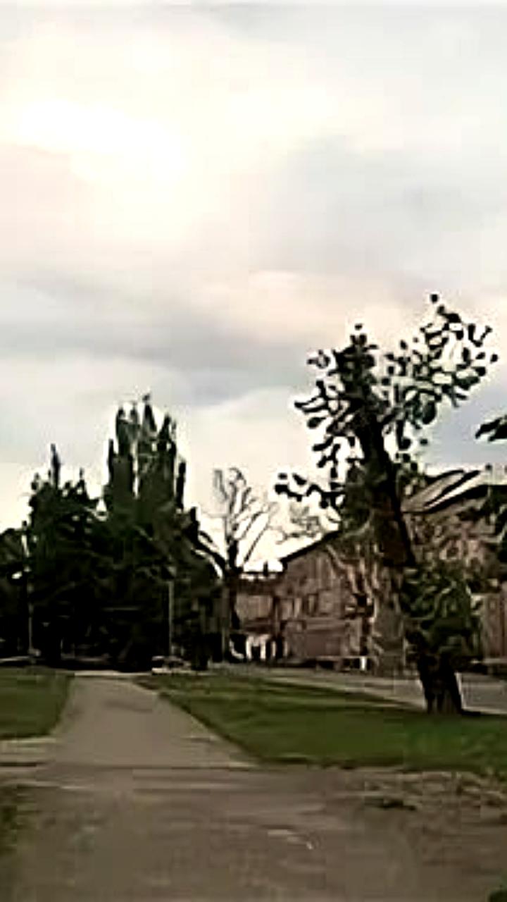 Луганская аллея на улице Даля выбрана для благоустройства в 2026 году