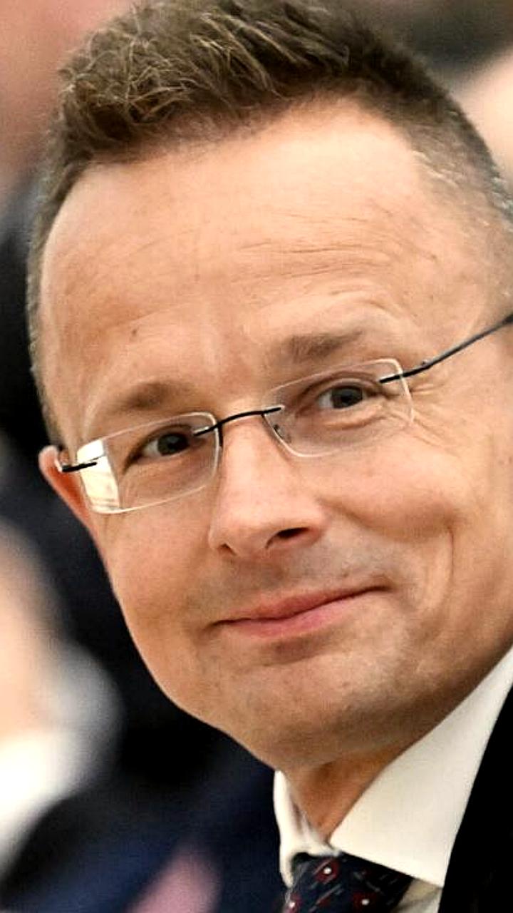Венгрия и Турция планируют увеличить транзит газа через 'Турецкий поток'