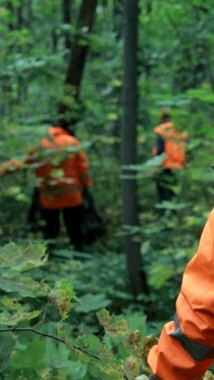 В Липецкой области завершены поиски 84-летнего Николая Егорова, найденного погибшим