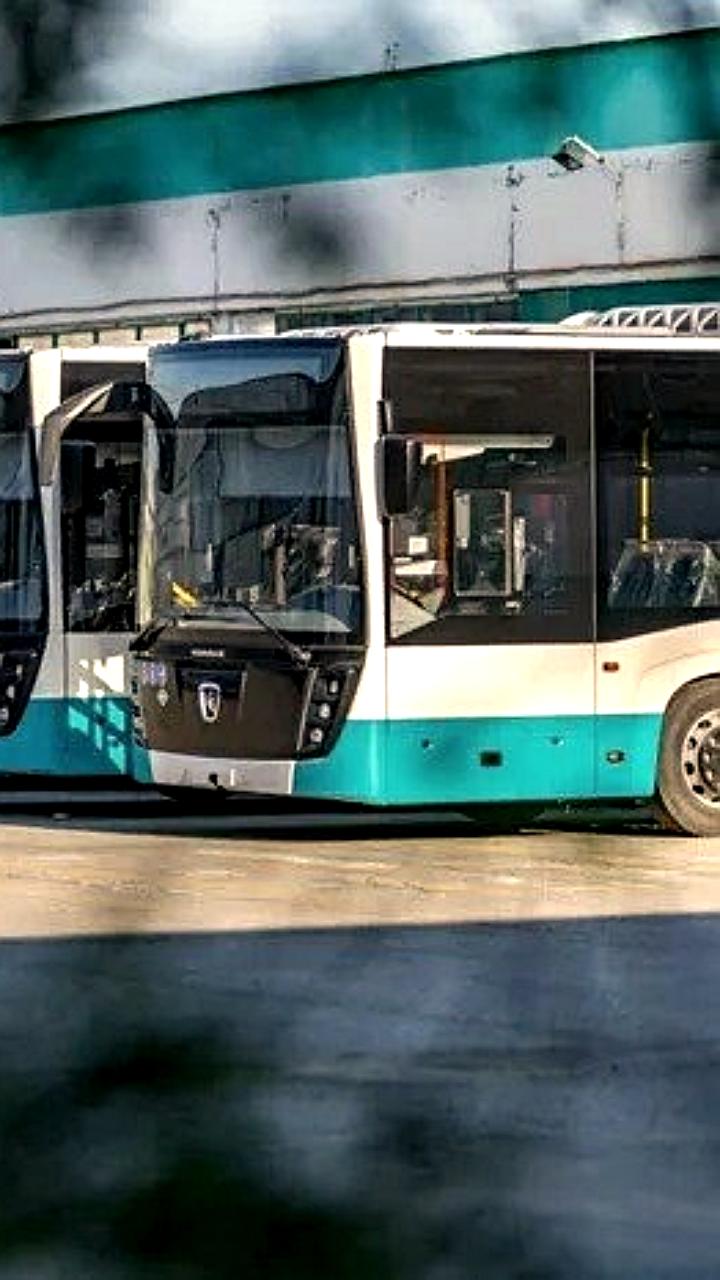 В Сургут поступили новые автобусы для городских маршрутов