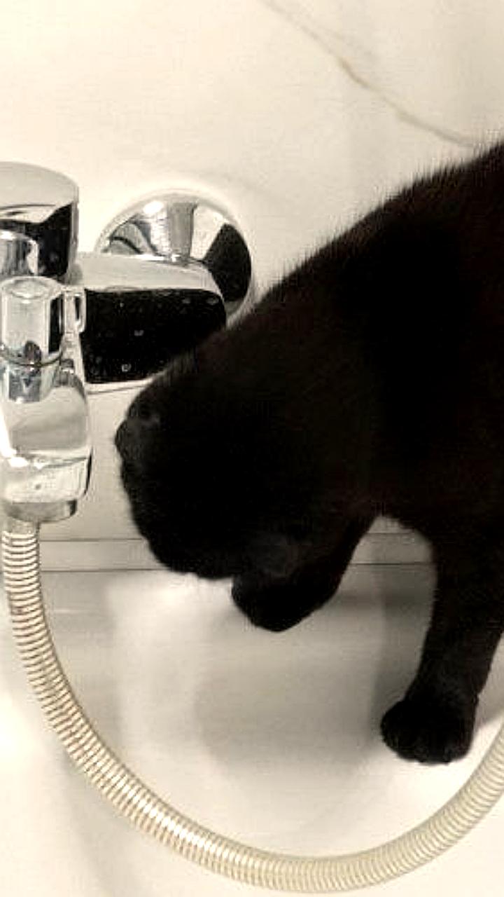 В Ростове 73 дома остаются без горячей воды после испытаний