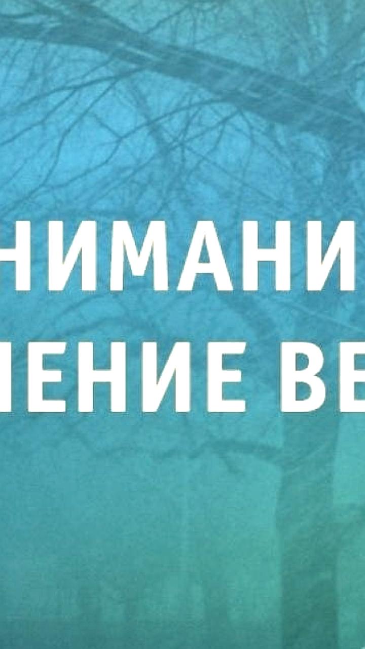 Усиление ветра в Забайкальском крае: МЧС предупреждает о пожарной опасности