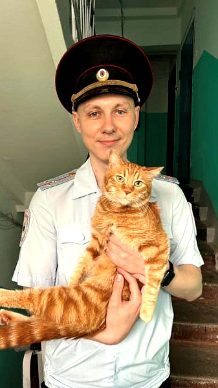 Полиция Комсомольска-на-Амуре спасла кота, выпавшего из окна
