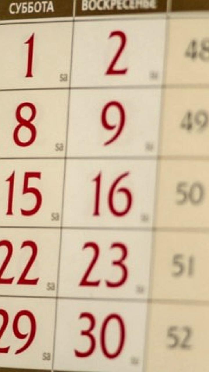 Минтруд России анонсировал 12-дневные новогодние каникулы в 2026 году
