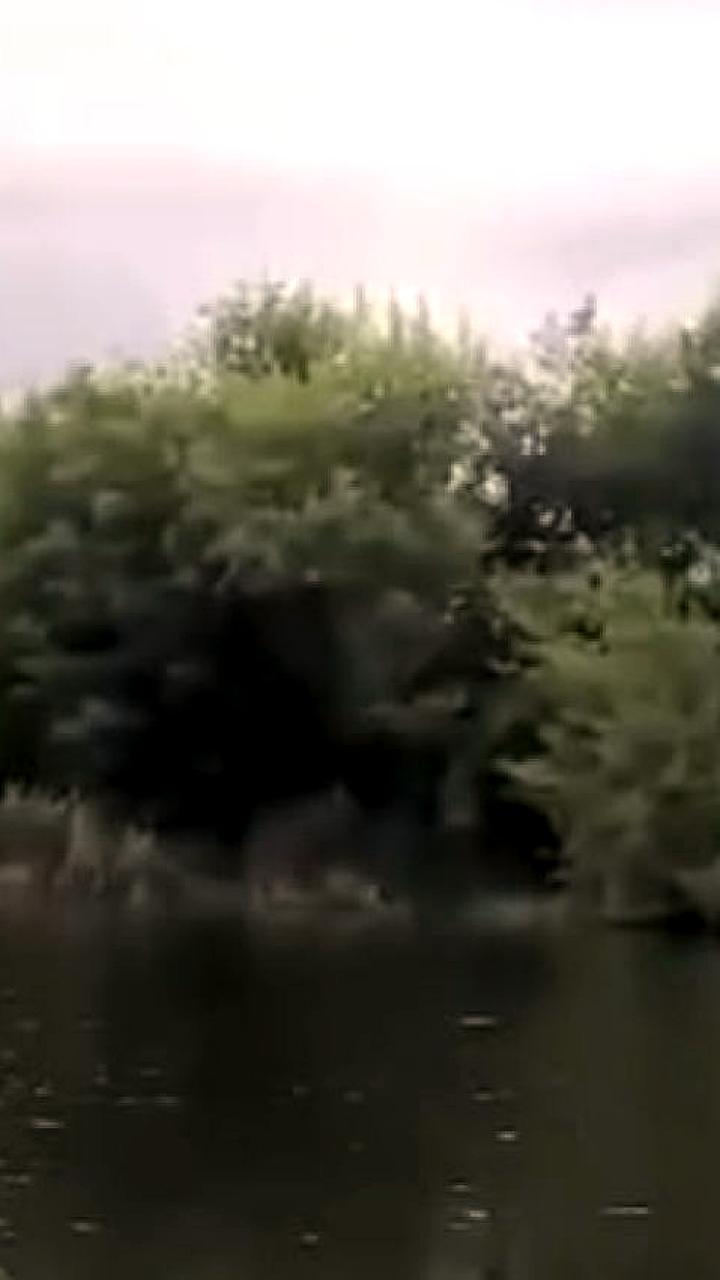 Неизвестные осушают озеро Круглое в Воронеже