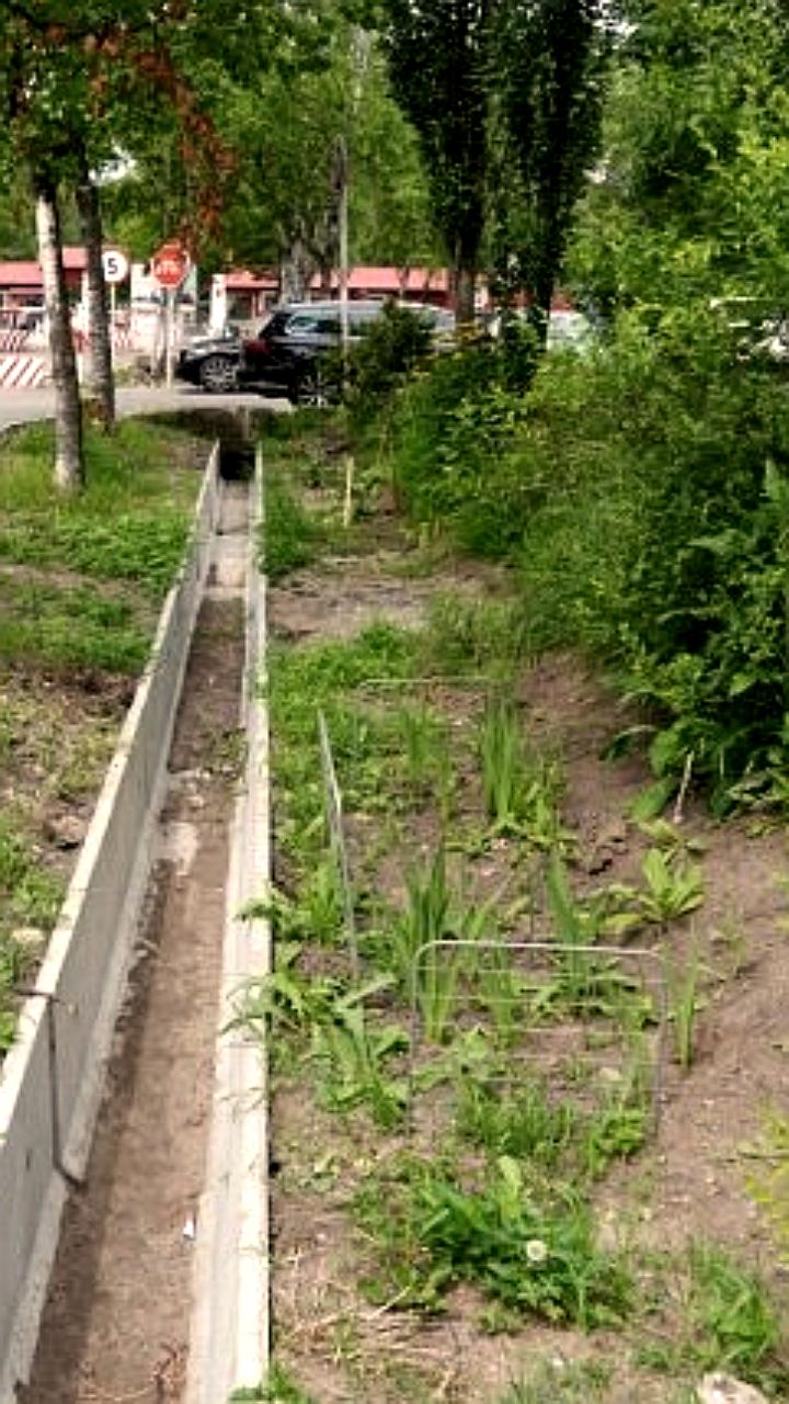 Решение проблем с безопасностью на улицах Волгограда: ликвидация опасных объектов