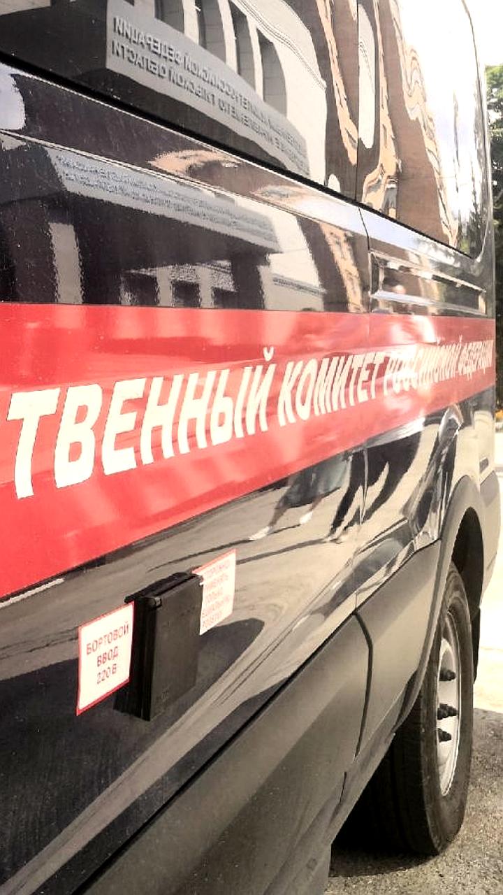 СК России требует доклад о нападении собак на детей в Московской и Тульской областях