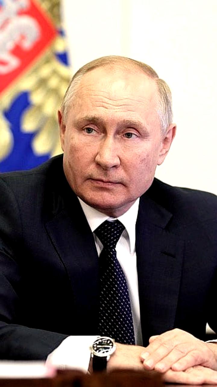 Путин и Первышов обсудили планы по развитию Тамбовской области и поддержку ветеранов