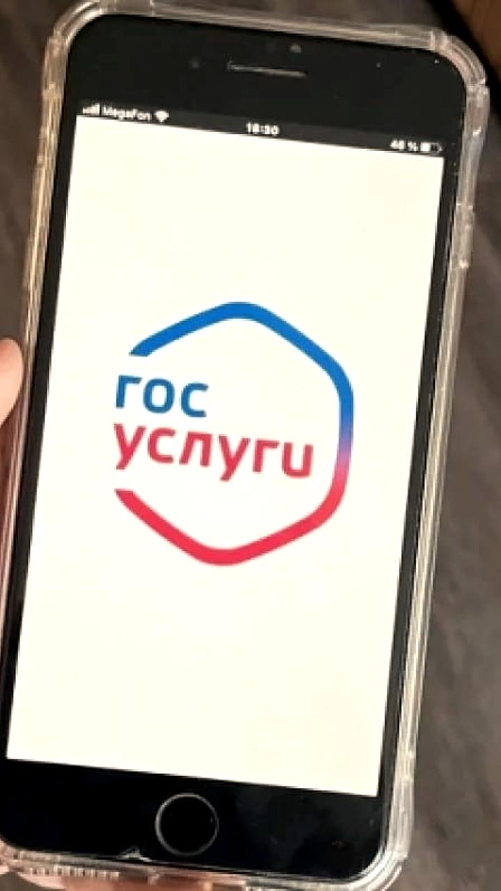 Новый сервис для оформления социальных вкладов запущен на портале «Госуслуги»