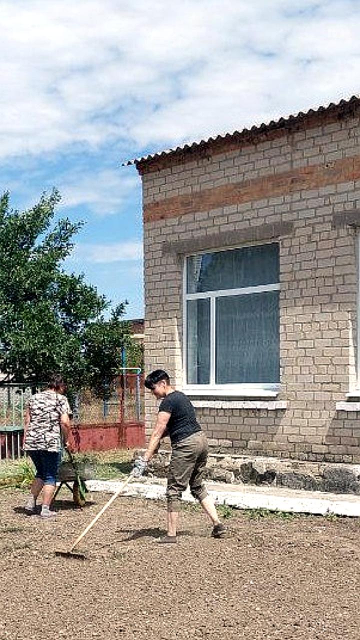 Благоустройство и вырубка деревьев: сезонные работы в Токмаке и Новосибирске