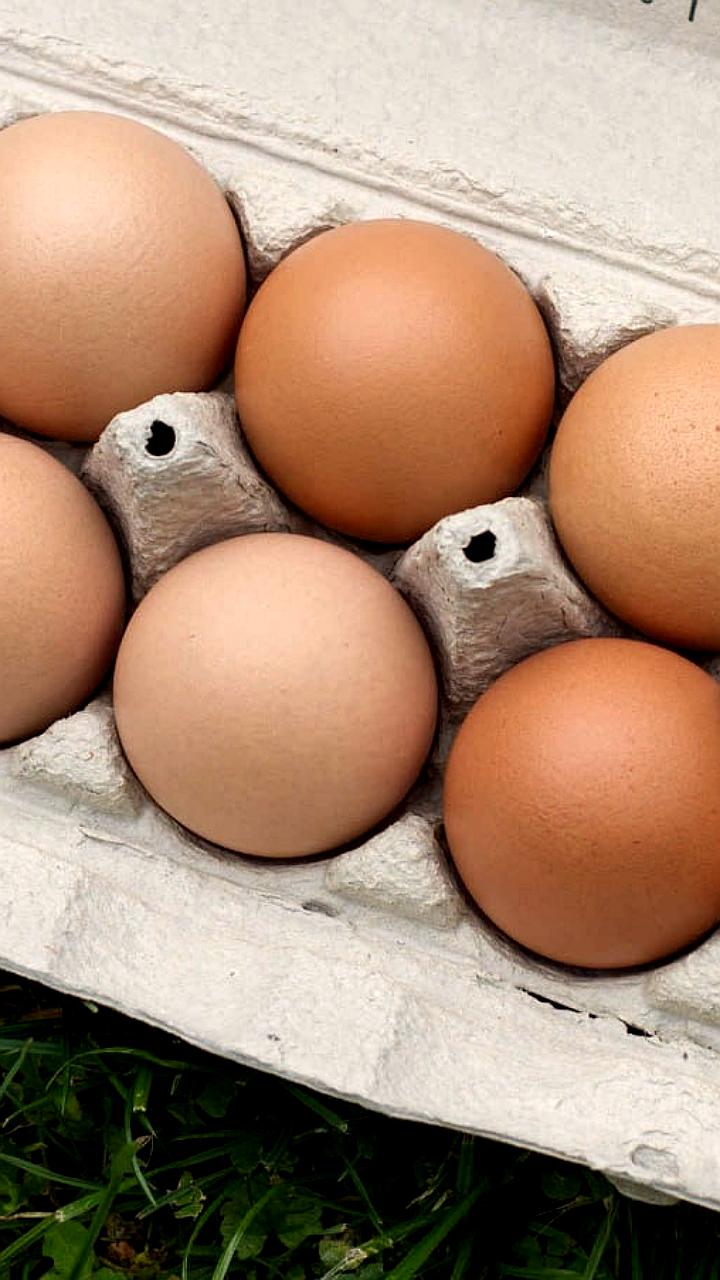 Производство животноводческой продукции в Ростовской области снижается
