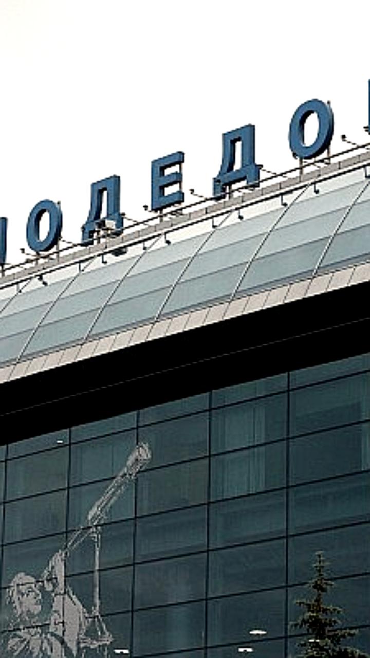 Дмитрий Каменщик подал апелляцию на решение о передаче «Домодедово» Росимущества