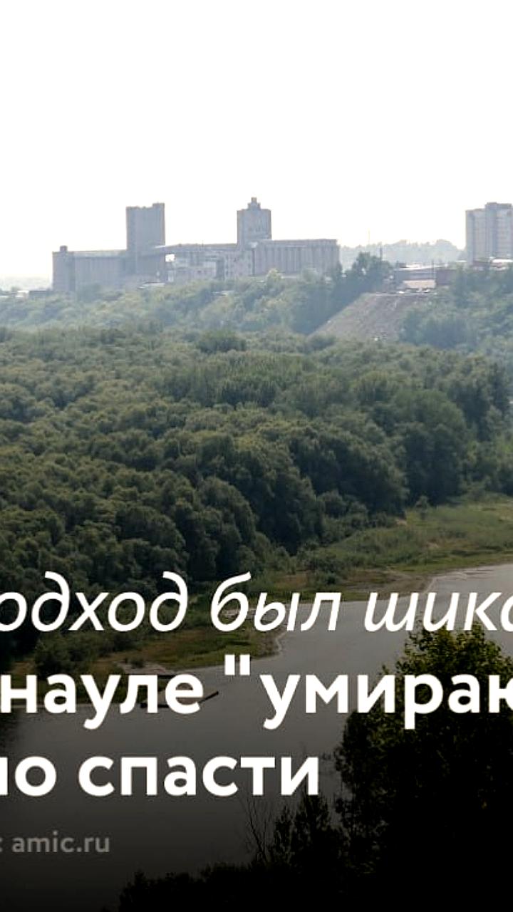 В Барнауле продолжается снос аварийных деревьев с планами по озеленению