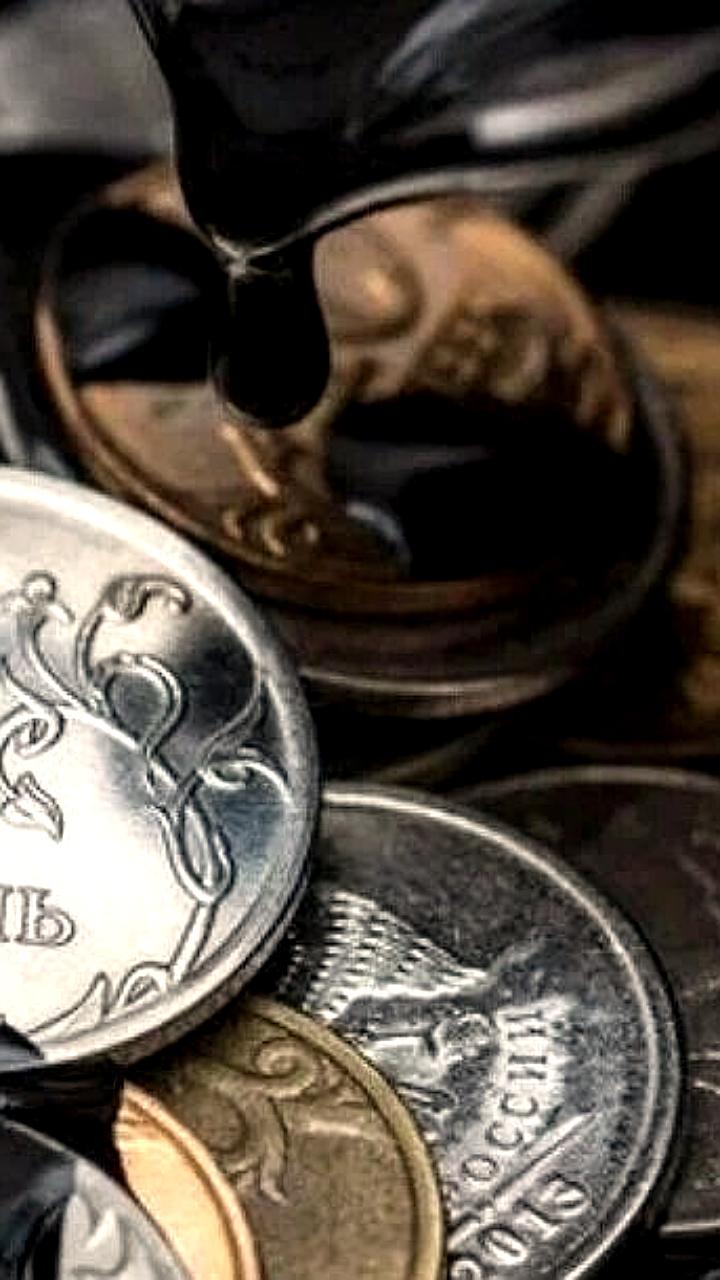Минфин РФ планирует продажу валюты и золота на 18,77 млрд рублей в июле 2025 года