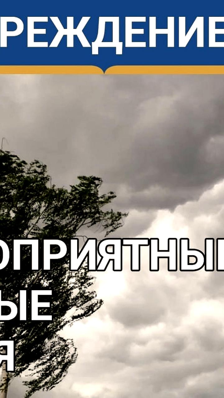 Синоптики прогнозируют грозы и сильный ветер в Тюменской области 2 июля