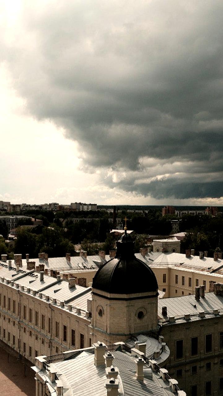 Закрытие парков и зоопарка в Петербурге из-за шторма