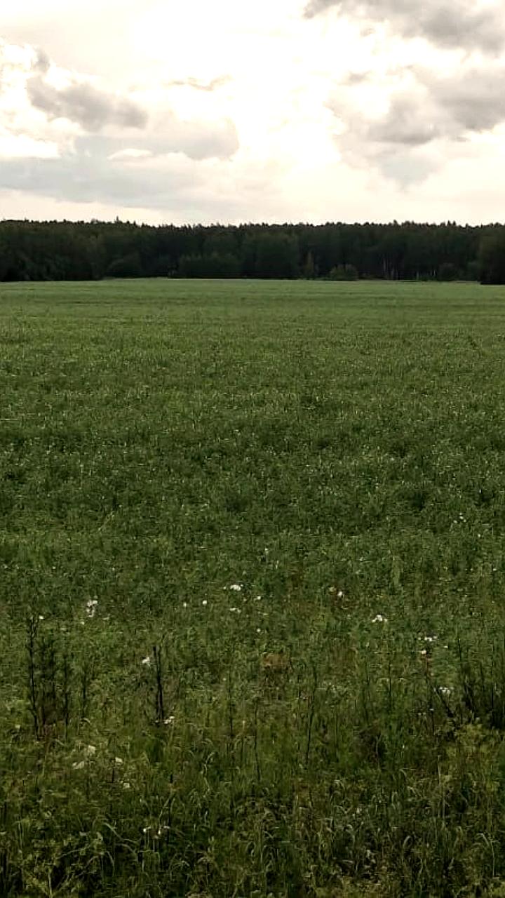 Нижегородская область завершила посевную, несмотря на снижение урожайности в стране
