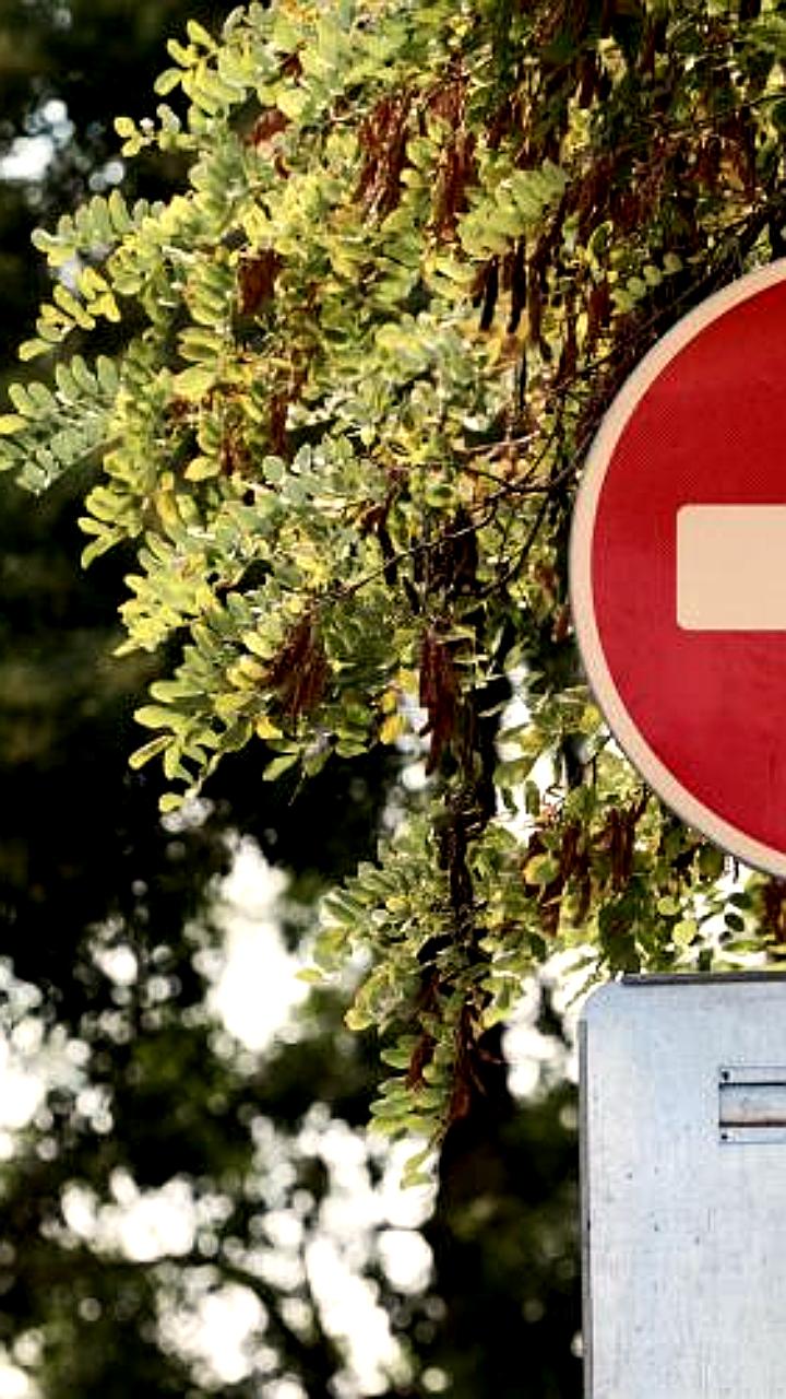 Ограничения движения на Центральном холме в Севастополе 9 и 10 июля
