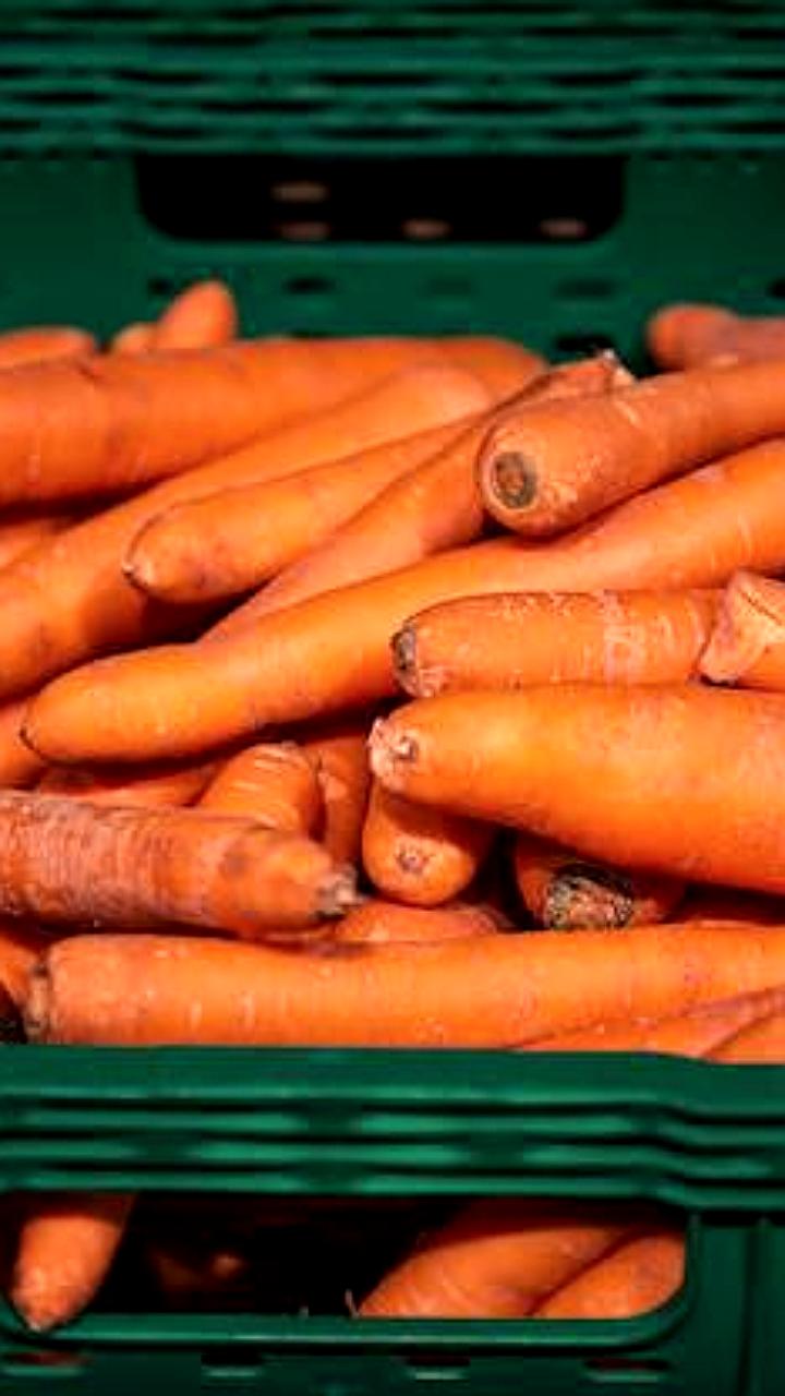 Цены на продукты питания в Ставрополье: капуста и яйца подешевели, морковь и яблоки подорожали