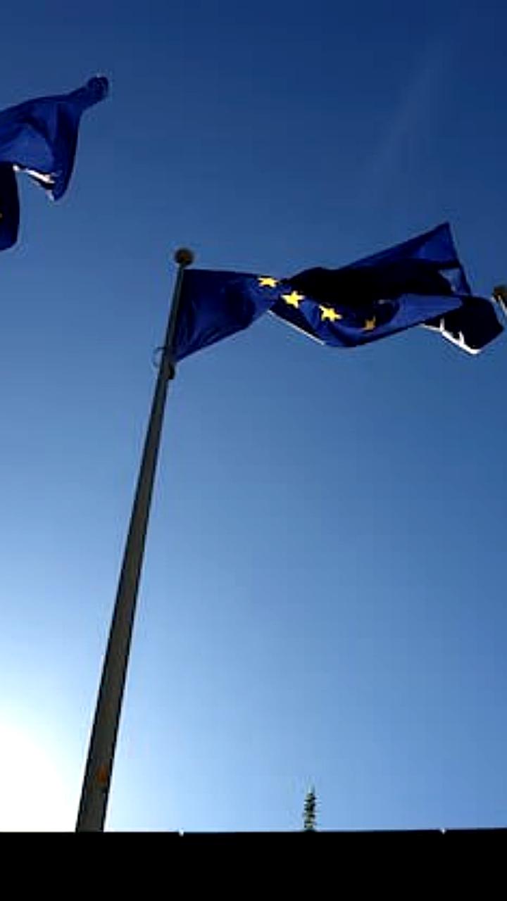 ЕС сокращает импорт украинской пшеницы и сахара на 80% для поддержки фермеров