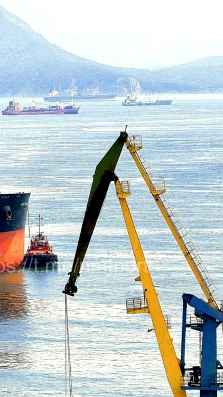 Находкинский морской торговый порт принял крупнейшее судно в своей истории