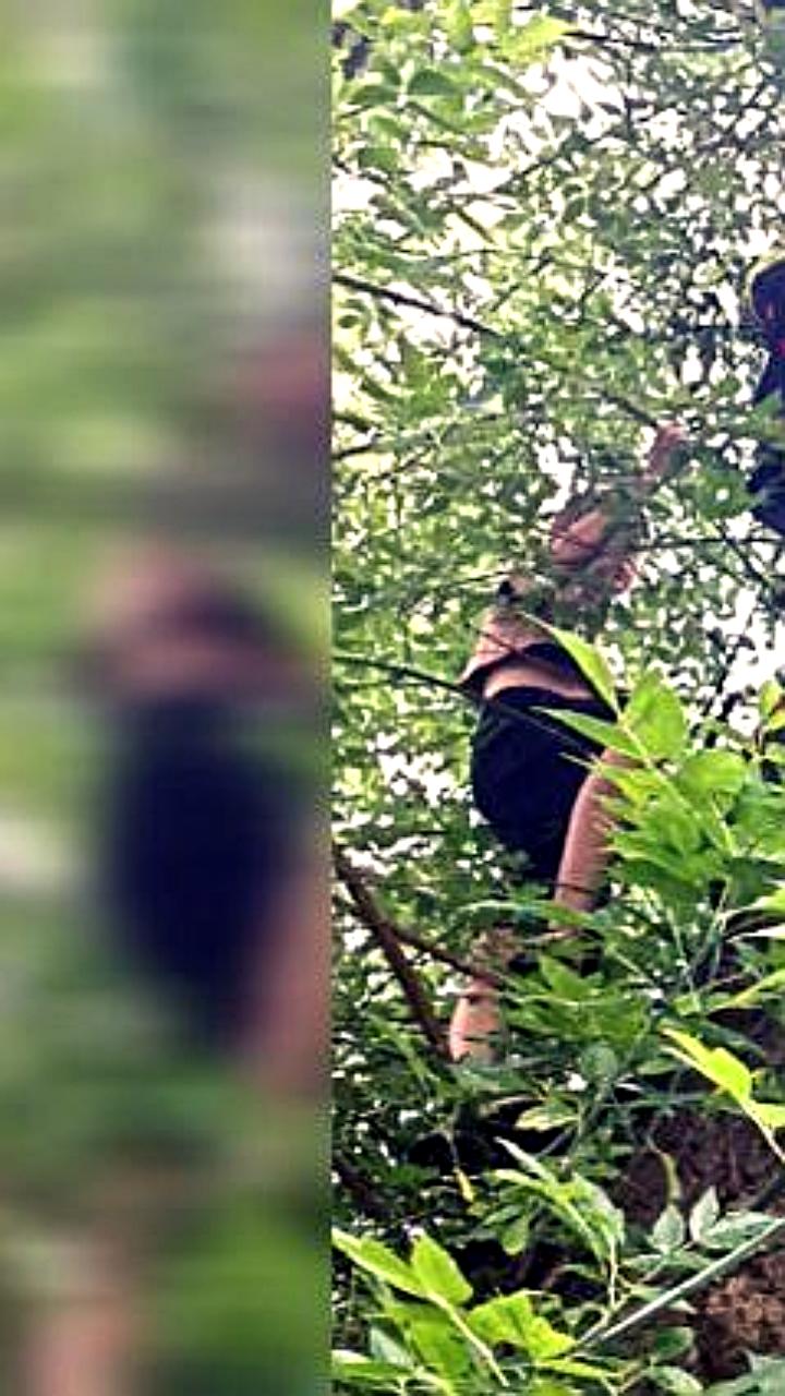 Спасатели помогли 13-летней девочке и её котенку спуститься с дерева в Уфе