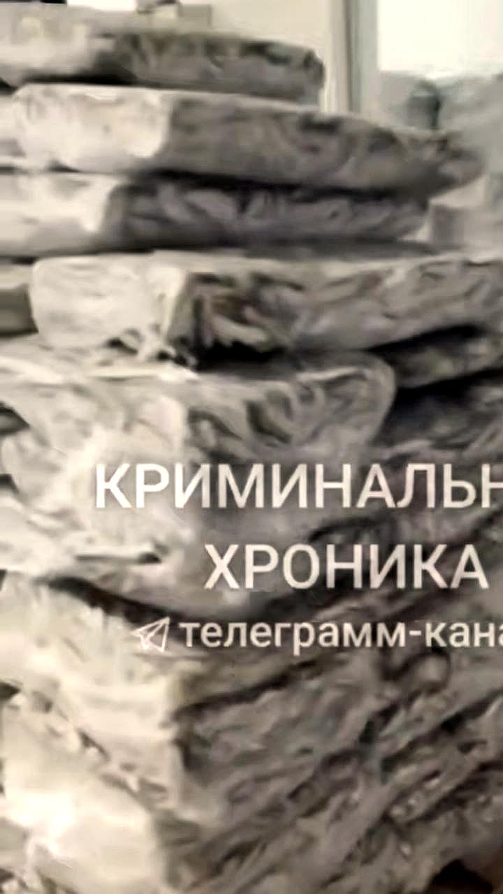 В Дагестане изъято 403 тонны рыбы без маркировки на сумму 55 миллионов рублей