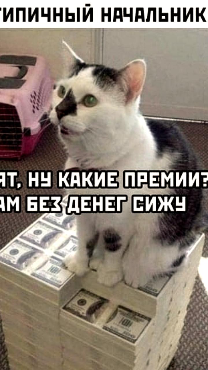 ФНПР вводит ограничения на снижение премий с 1 сентября