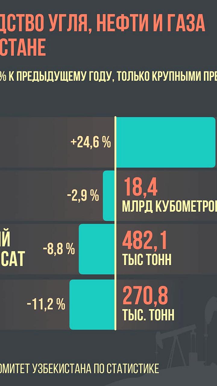 Снижение добычи угля компанией Мечел на 24% в 2025 году