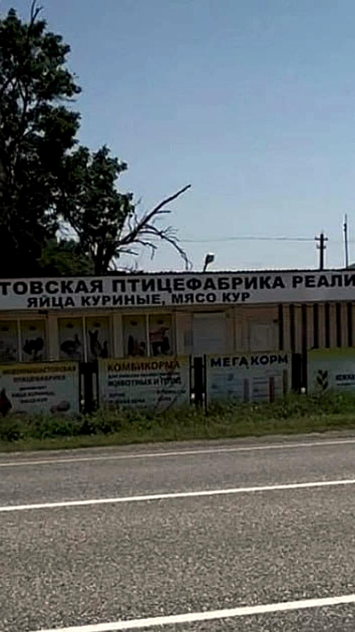 Кур на птицефабрике под Краснодаром голодают из-за нехватки кормов