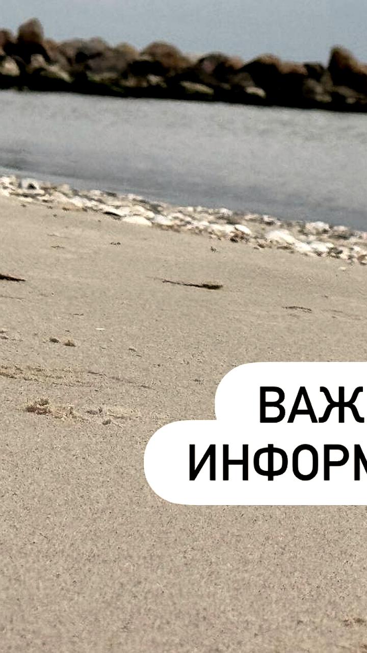 Запрет на купание на пляжах Приазовского округа и Анапы сохраняется