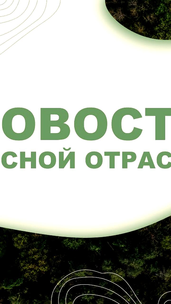 Глава Бурятии призывает ускорить тушение оставшихся лесных пожаров