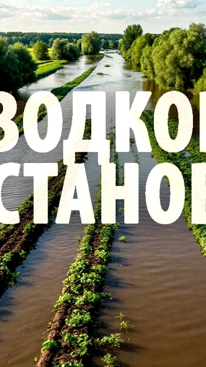 Паводок в Хабаровском крае: подтопления в нескольких населенных пунктах