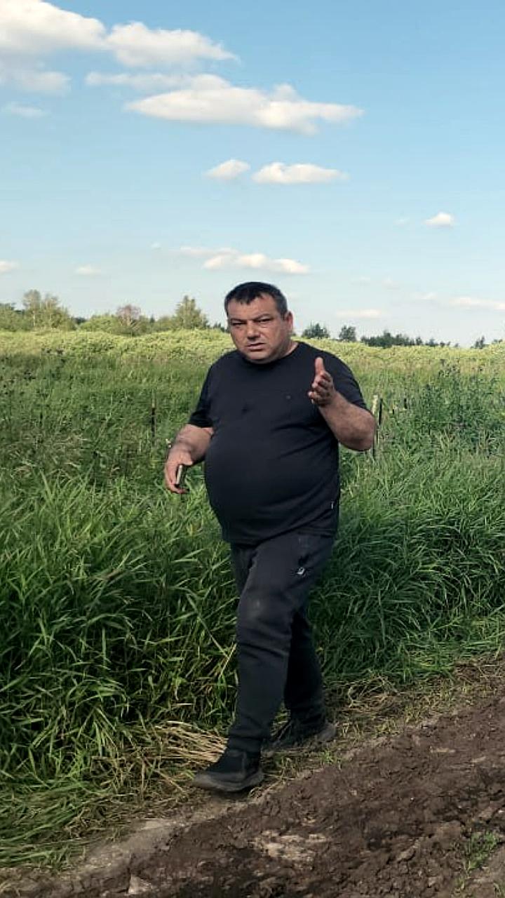 Волонтёры обнаружили щенков и останки собак на агроферме под Люберцами