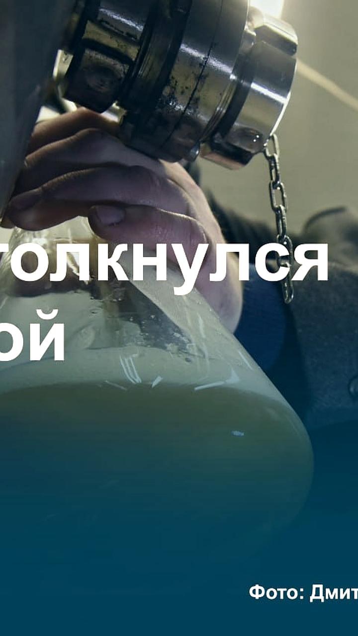 Производство сидра в России снизилось на 11% из-за проверок и ограничений