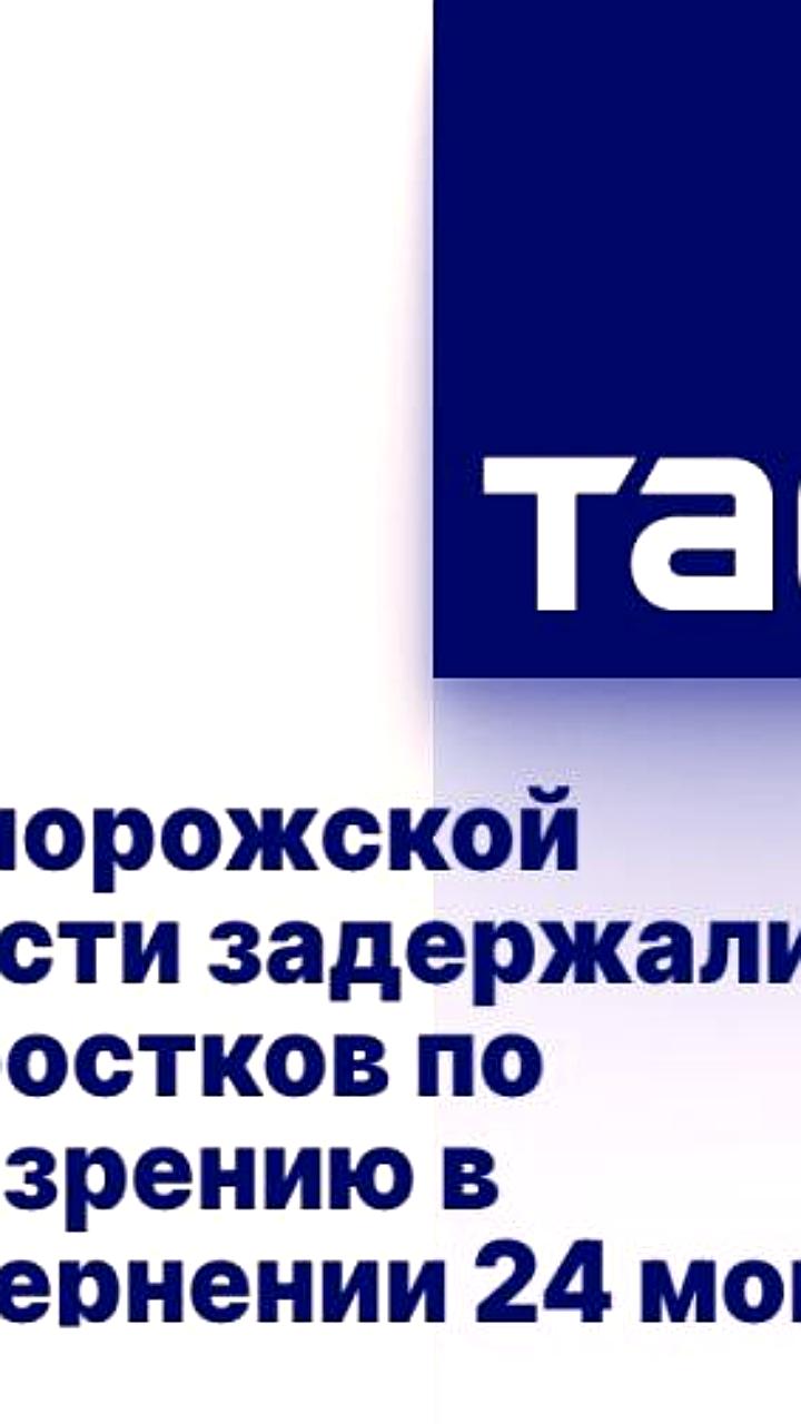 Пятеро подростков задержаны за осквернение 24 могил в Запорожской области