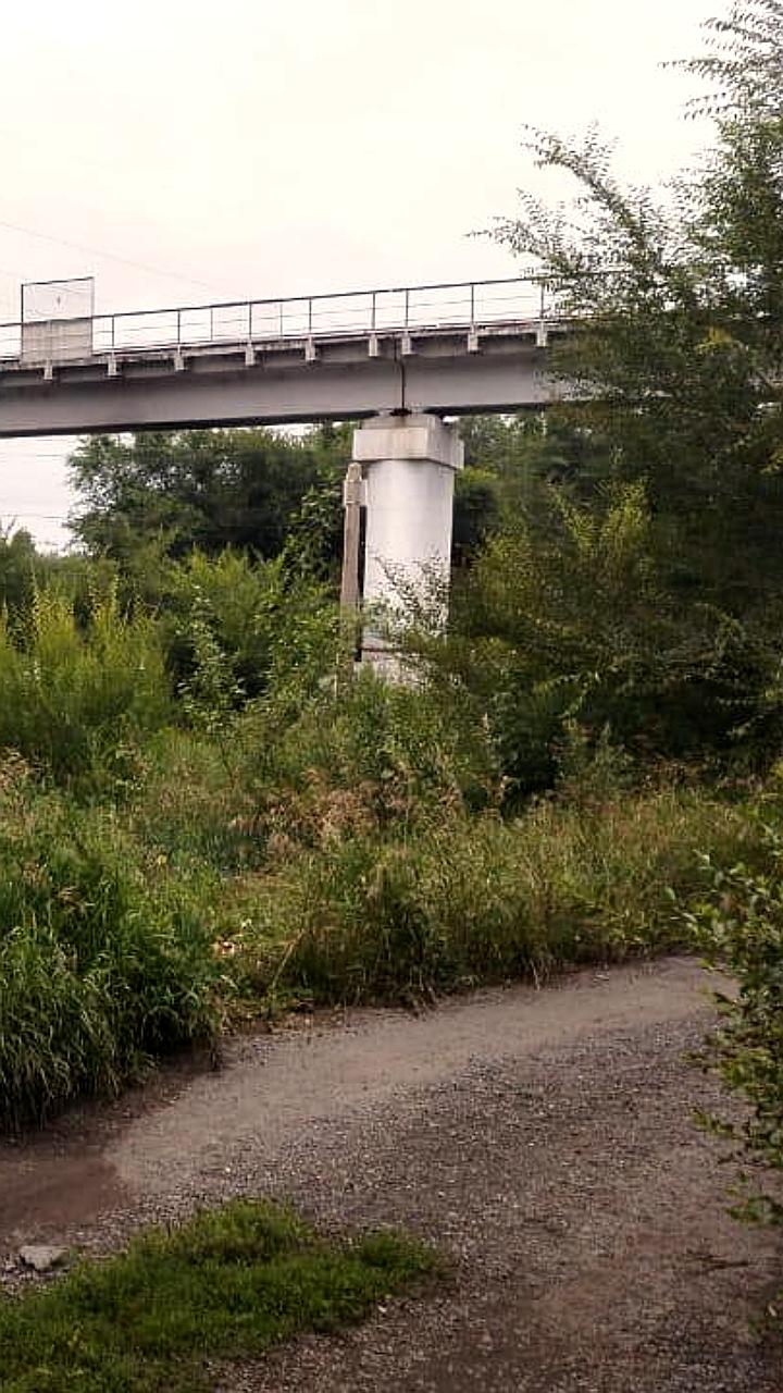 В Алтайском крае мужчина травмирован грузовым поездом на железной дороге