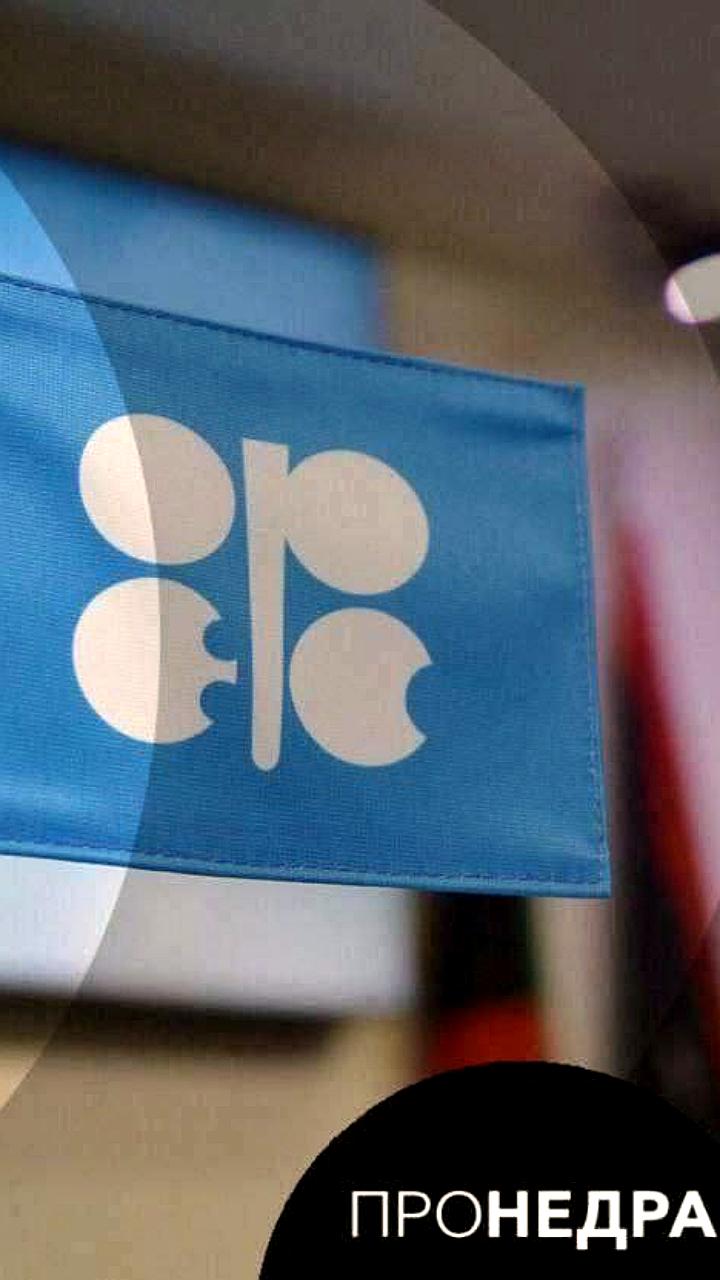 Цены на нефть снижаются после решения ОПЕК+ о повышении добычи