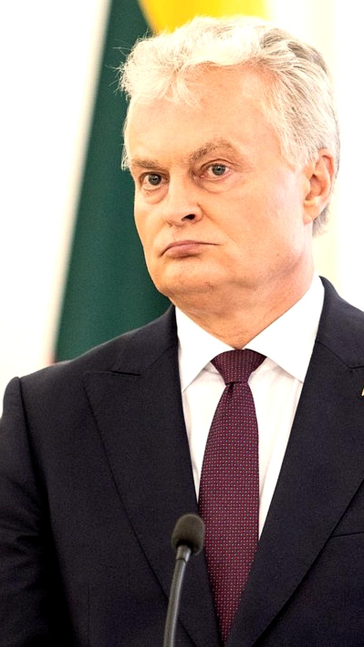 Президент Литвы анонсировал возможность введения всеобщего призыва для создания национальной дивизии к 2030 году