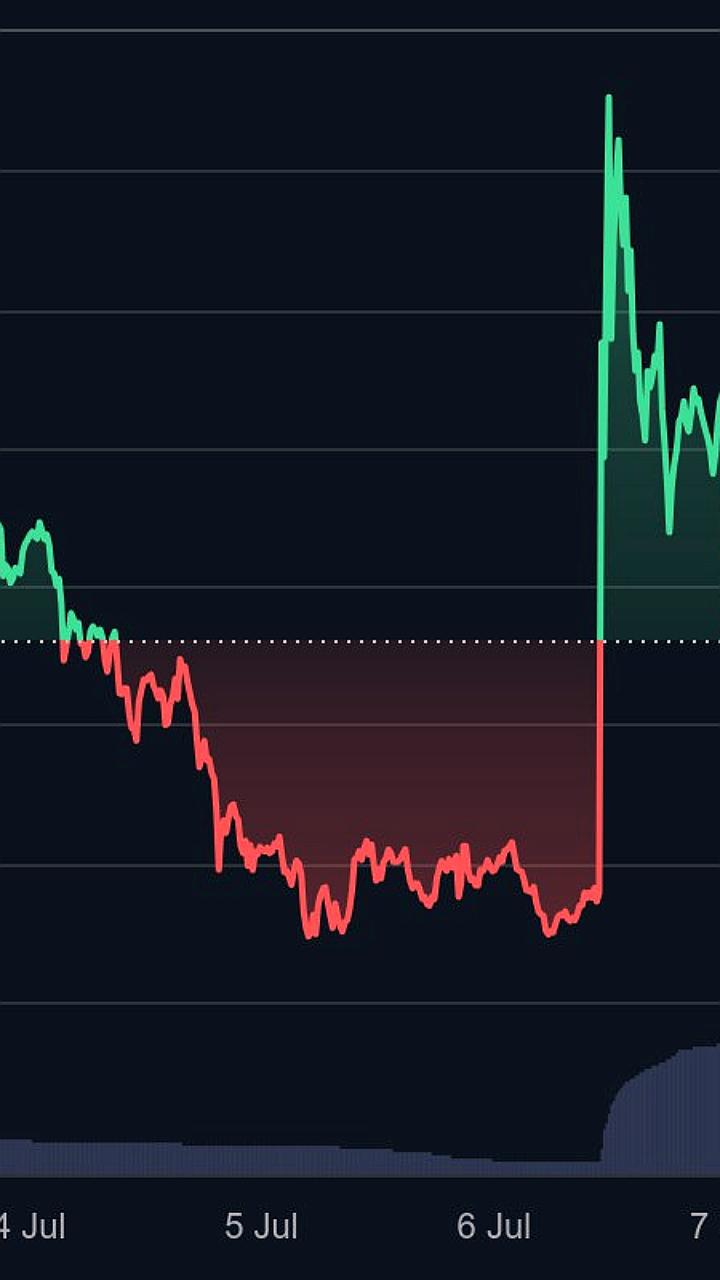 CZ критикует CEO TON Макса Кроуна за маркетинг золотой визы